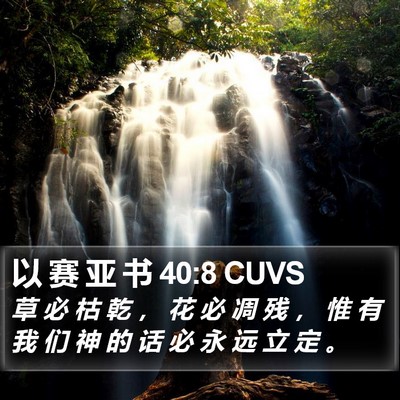 以 赛 亚 书 40:8 CUVS Bible Verse Image