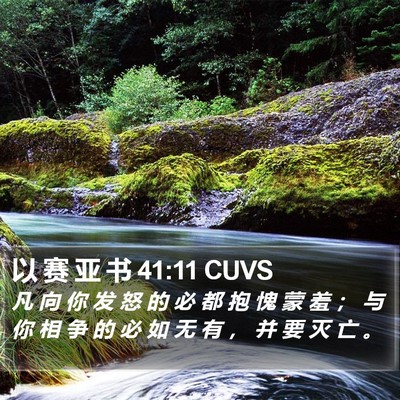 以 赛 亚 书 41:11 CUVS Bible Verse Image
