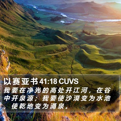 以 赛 亚 书 41:18 CUVS Bible Verse Image