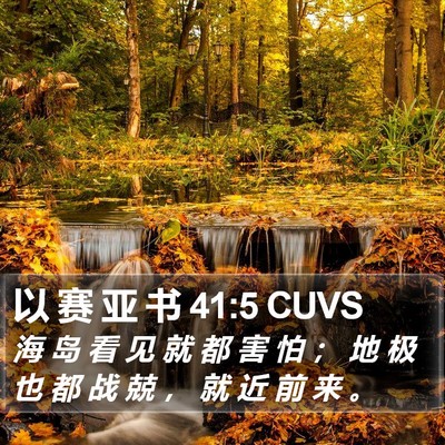 以 赛 亚 书 41:5 CUVS Bible Verse Image