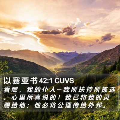以 赛 亚 书 42:1 CUVS Bible Verse Image
