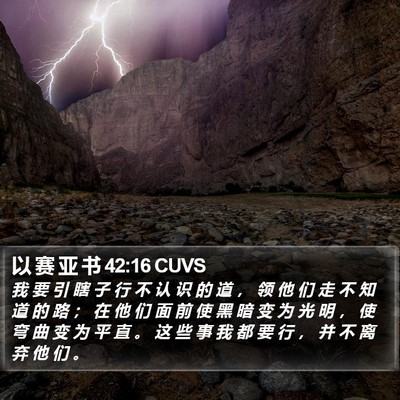 以 赛 亚 书 42:16 CUVS Bible Verse Image