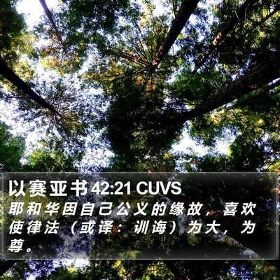 以 赛 亚 书 42:21 CUVS Bible Verse Image