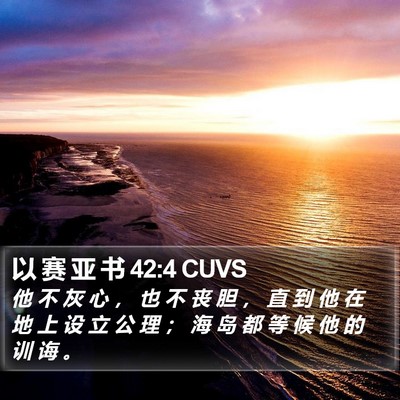 以 赛 亚 书 42:4 CUVS Bible Verse Image