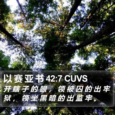 以 赛 亚 书 42:7 CUVS Bible Verse Image