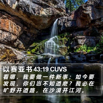 以 赛 亚 书 43:19 CUVS Bible Verse Image