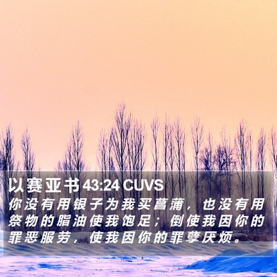 以 赛 亚 书 43:24 CUVS Bible Verse Image