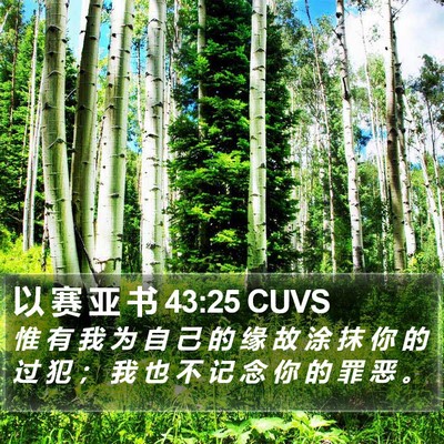 以 赛 亚 书 43:25 CUVS Bible Verse Image