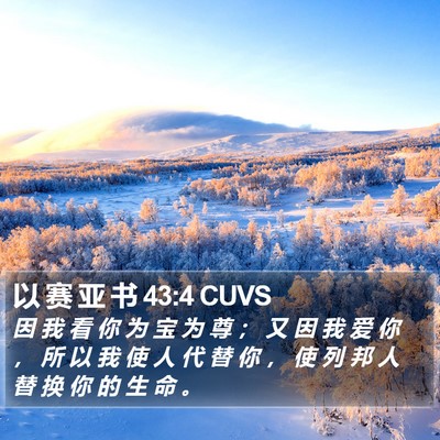 以 赛 亚 书 43:4 CUVS Bible Verse Image