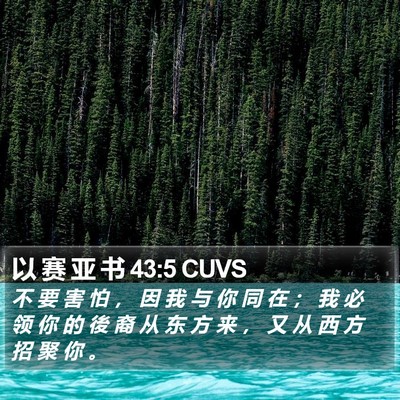 以 赛 亚 书 43:5 CUVS Bible Verse Image
