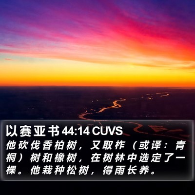 以 赛 亚 书 44:14 CUVS Bible Verse Image
