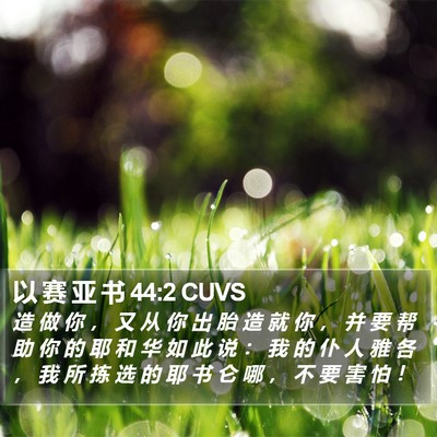 以 赛 亚 书 44:2 CUVS Bible Verse Image