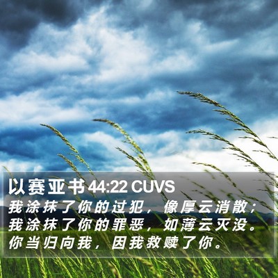 以 赛 亚 书 44:22 CUVS Bible Verse Image