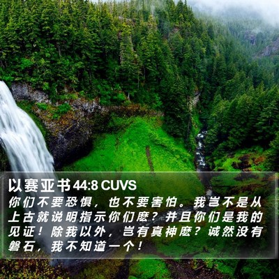 以 赛 亚 书 44:8 CUVS Bible Verse Image