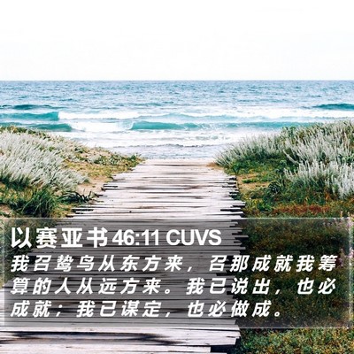 以 赛 亚 书 46:11 CUVS Bible Verse Image