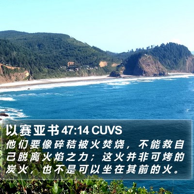 以 赛 亚 书 47:14 CUVS Bible Verse Image