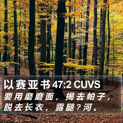 以 赛 亚 书 47:2 CUVS Bible Verse Image