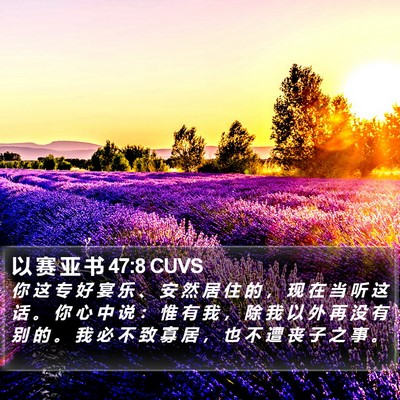 以 赛 亚 书 47:8 CUVS Bible Verse Image