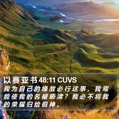 以 赛 亚 书 48:11 CUVS Bible Verse Image