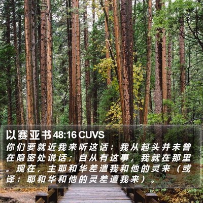 以 赛 亚 书 48:16 CUVS Bible Verse Image