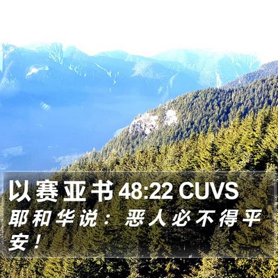 以 赛 亚 书 48:22 CUVS Bible Verse Image