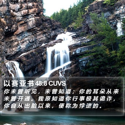 以 赛 亚 书 48:8 CUVS Bible Verse Image