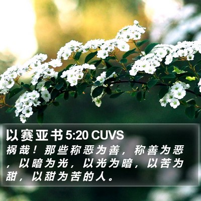 以 赛 亚 书 5:20 CUVS Bible Verse Image