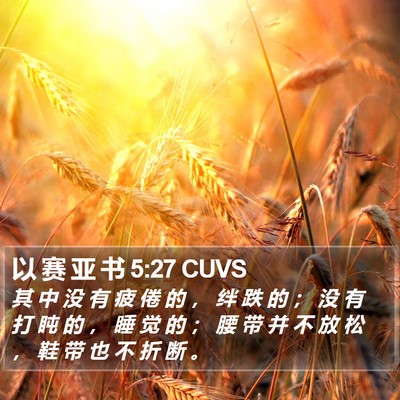 以 赛 亚 书 5:27 CUVS Bible Verse Image