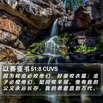 以 赛 亚 书 51:8 CUVS Bible Verse Image