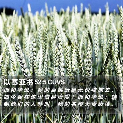 以 赛 亚 书 52:5 CUVS Bible Verse Image