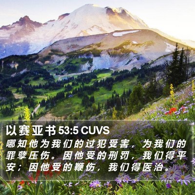 以 赛 亚 书 53:5 CUVS Bible Verse Image