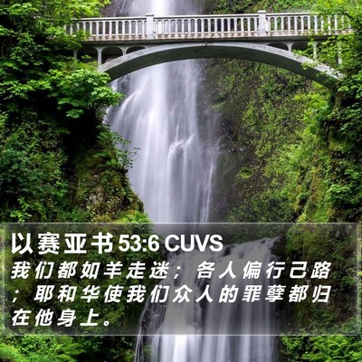 以 赛 亚 书 53:6 CUVS Bible Verse Image