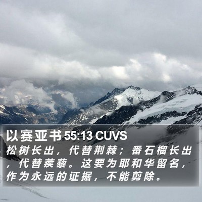 以 赛 亚 书 55:13 CUVS Bible Verse Image