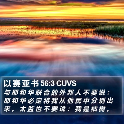 以 赛 亚 书 56:3 CUVS Bible Verse Image