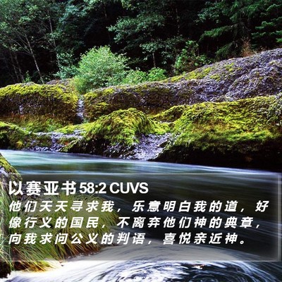 以 赛 亚 书 58:2 CUVS Bible Verse Image