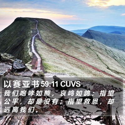 以 赛 亚 书 59:11 CUVS Bible Verse Image