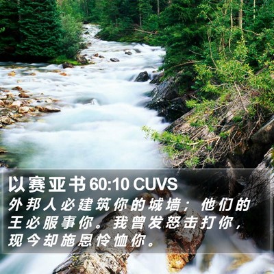 以 赛 亚 书 60:10 CUVS Bible Verse Image