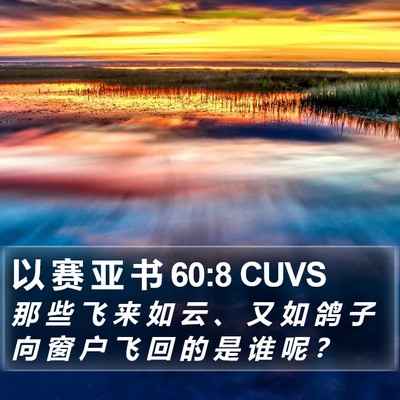 以 赛 亚 书 60:8 CUVS Bible Verse Image
