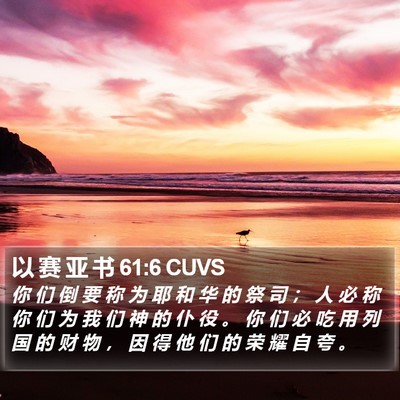 以 赛 亚 书 61:6 CUVS Bible Verse Image