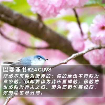 以 赛 亚 书 62:4 CUVS Bible Verse Image