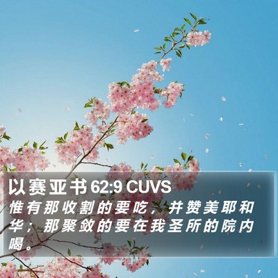以 赛 亚 书 62:9 CUVS Bible Verse Image
