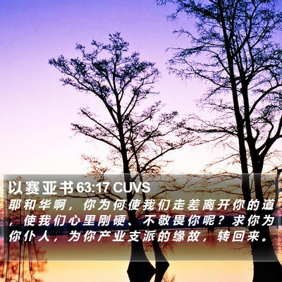 以 赛 亚 书 63:17 CUVS Bible Verse Image