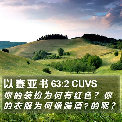 以 赛 亚 书 63:2 CUVS Bible Verse Image