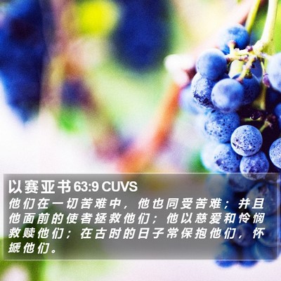 以 赛 亚 书 63:9 CUVS Bible Verse Image