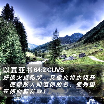 以 赛 亚 书 64:2 CUVS Bible Verse Image