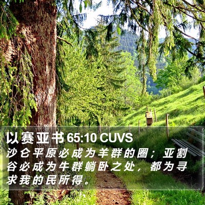 以 赛 亚 书 65:10 CUVS Bible Verse Image