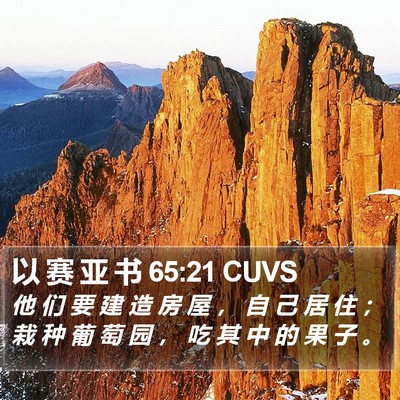 以 赛 亚 书 65:21 CUVS Bible Verse Image