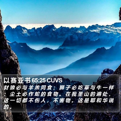 以 赛 亚 书 65:25 CUVS Bible Verse Image