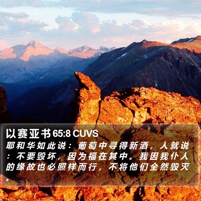 以 赛 亚 书 65:8 CUVS Bible Verse Image