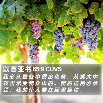 以 赛 亚 书 65:9 CUVS Bible Verse Image